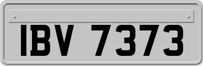 IBV7373