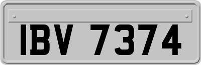 IBV7374