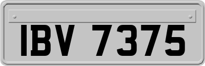 IBV7375