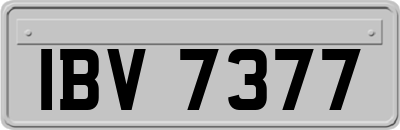 IBV7377