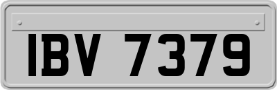 IBV7379