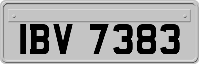 IBV7383