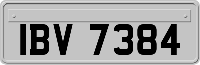IBV7384