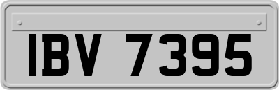 IBV7395