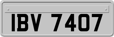 IBV7407
