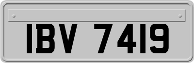 IBV7419