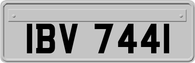 IBV7441
