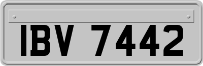IBV7442