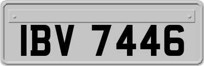 IBV7446