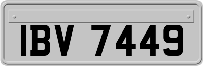 IBV7449