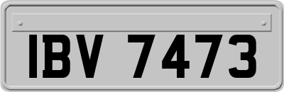 IBV7473