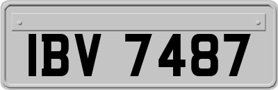 IBV7487