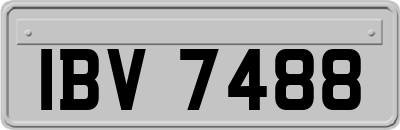 IBV7488