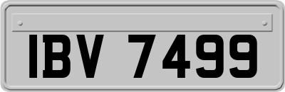 IBV7499