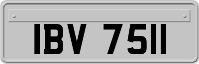 IBV7511