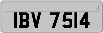 IBV7514