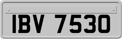 IBV7530