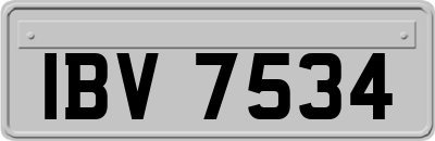 IBV7534
