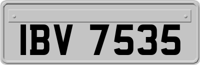 IBV7535