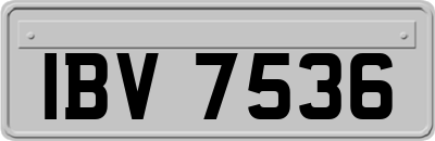 IBV7536