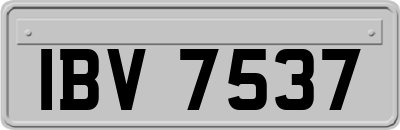 IBV7537