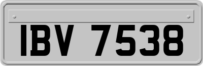 IBV7538