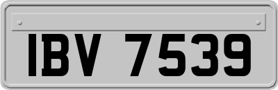 IBV7539