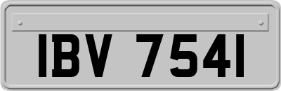 IBV7541