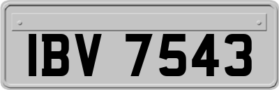 IBV7543