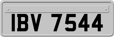 IBV7544