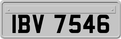 IBV7546