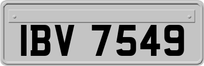 IBV7549