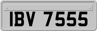 IBV7555
