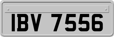 IBV7556