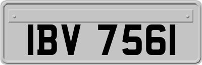 IBV7561