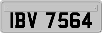 IBV7564