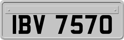 IBV7570