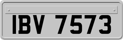 IBV7573