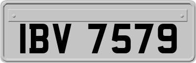 IBV7579