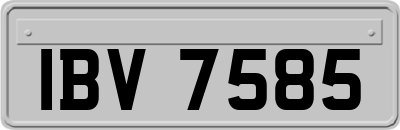 IBV7585