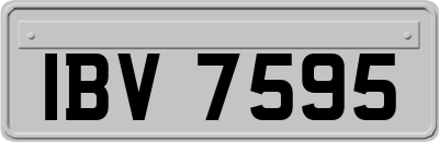 IBV7595