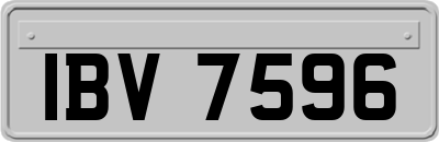 IBV7596