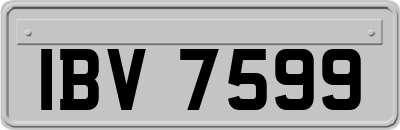 IBV7599