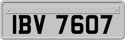 IBV7607