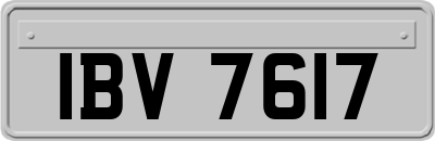 IBV7617