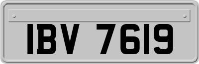 IBV7619