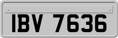 IBV7636