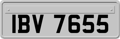 IBV7655
