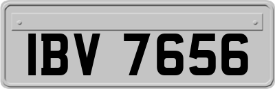IBV7656
