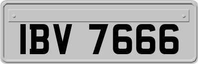 IBV7666